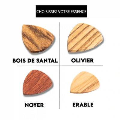 Choix des essences de bois